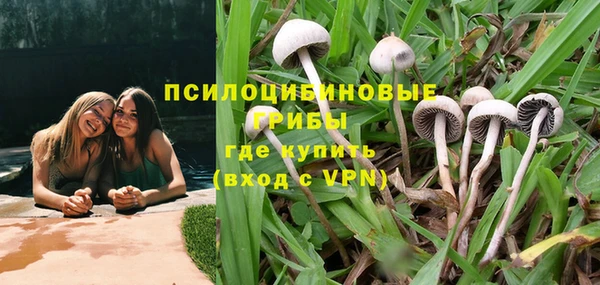 наркотики Белокуриха