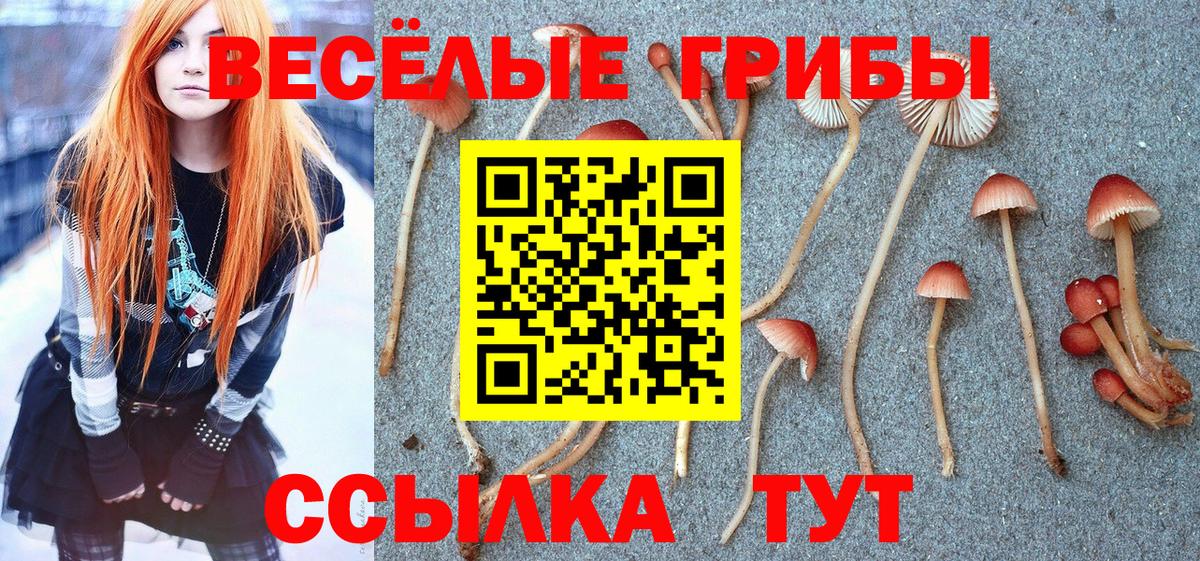 продажа наркотиков  Галлюциногенные грибы ЛСД  Галлюциногенные грибы Psilocybe  Вход с VPN  Острогожск 