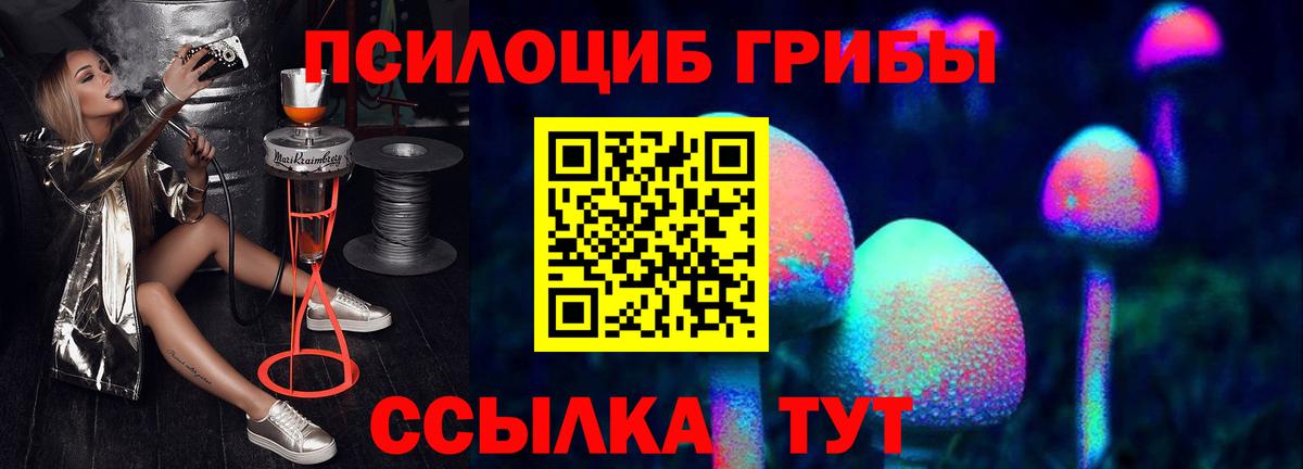 Псилоцибиновые грибы Psilocybine cubensis Острогожск